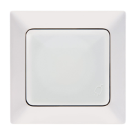 EARTHED SOCKET OUTLET WITH COVER