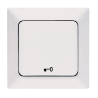 DOOR (CONTROL) SWITCH